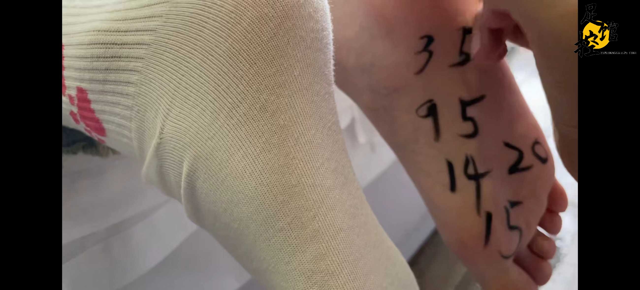 微信图片_202309162252066.jpg